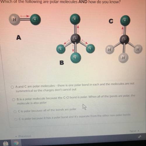 Which of the following are polar molecules and how do you know?