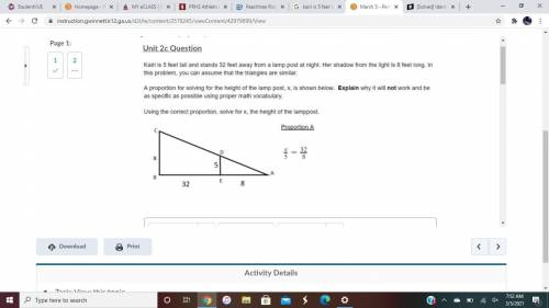 Hurry please i need help on a final.

Proportion A is not correct because ___ .
The correct way to