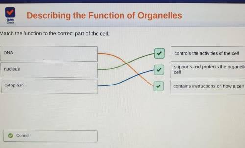 Check Check Match the function to the correct part of the cell. DNA controls the activities of the