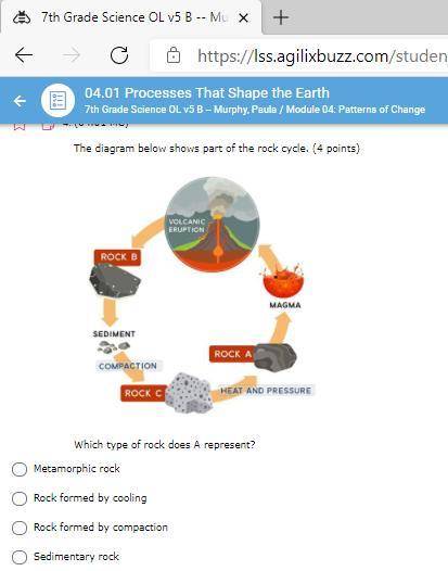Who knows about the rock cycle?