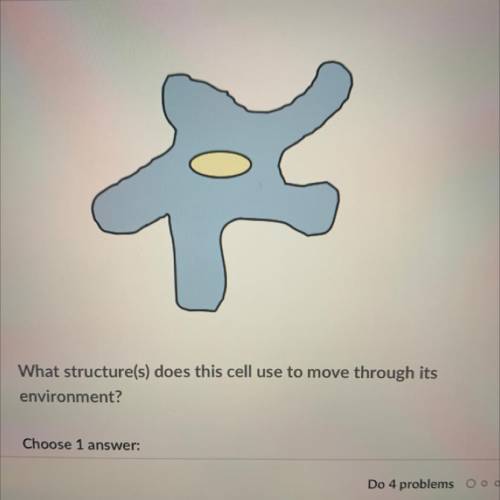 What structure(s) does this cell use to move through its

environment?
Choose 1 
A Pseudopo