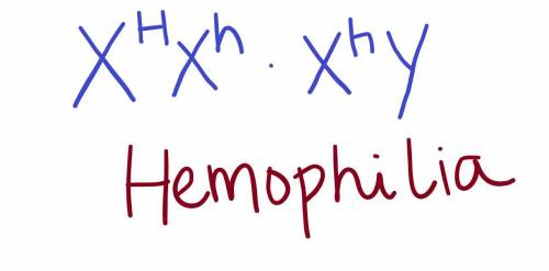Hemophilia is a sex-linked RECESSIVE disease. If you made a Punnett square from the parents shown a