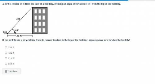 A bird is located

38
ft
from the base of a building, creating an angle of elevation of 
48
∘
with