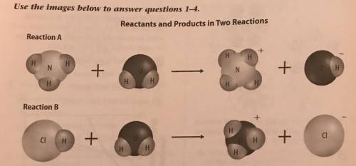 HELP ME || WILL MARK BRAINLEST ||Which product could contain a substance formed by Reaction B?

Gr