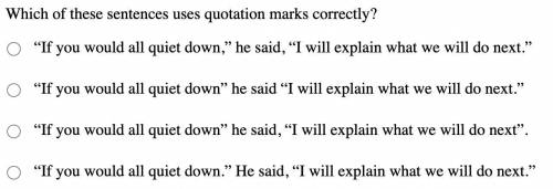 Which of these sentences uses quotation marks correctly?