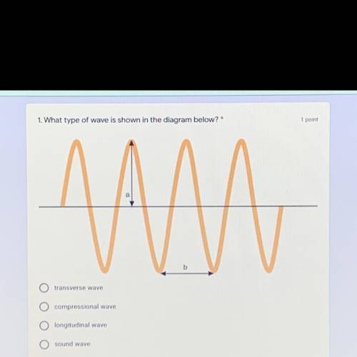 1. What type of wave is shown in the diagram below?