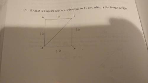 If ABCD is a square with one side equal to 10 cm what is the length of BD?