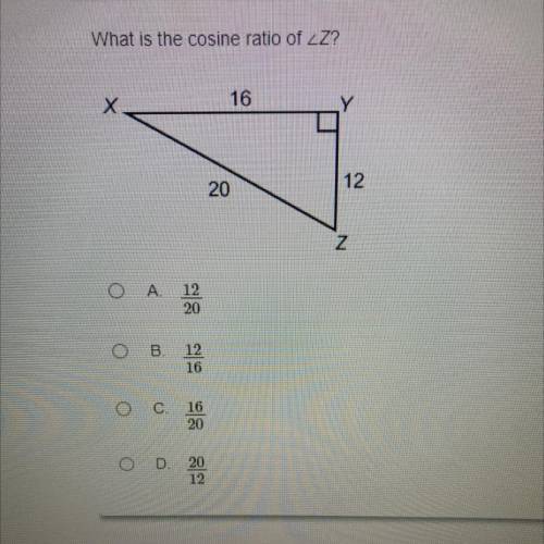 I need the answer please