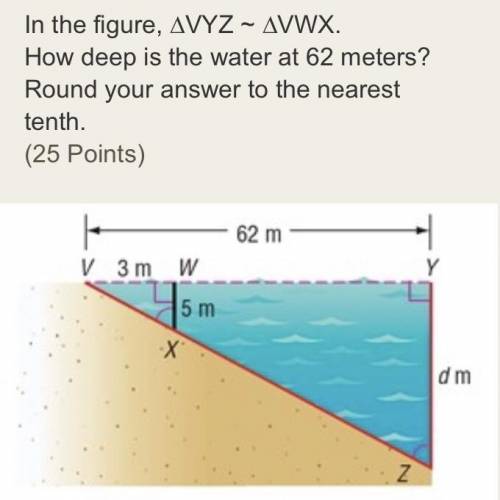 In the figure, ∆VYZ ~ ∆VWX.

How deep is the water at 62 meters?
Round your answer to the nearest
