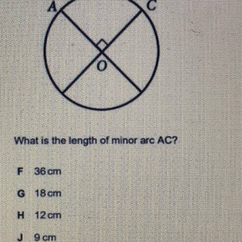 The circle below with the center O has a circumference of 48 cm?