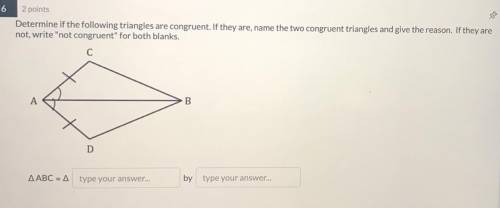Name the two congruent triangles