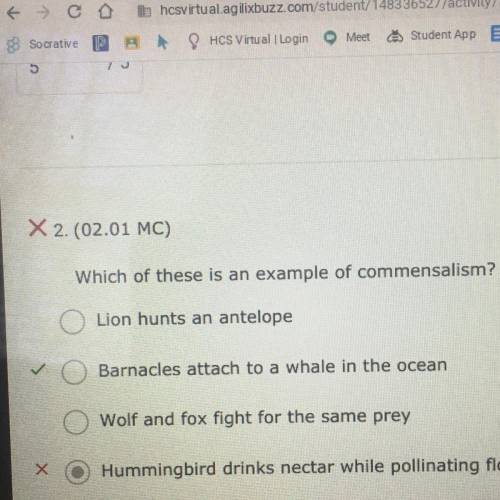 X 2. (02.01 MC)

Which of these is an example of commensalism? (4 points)
Lion hunts an antelope
B