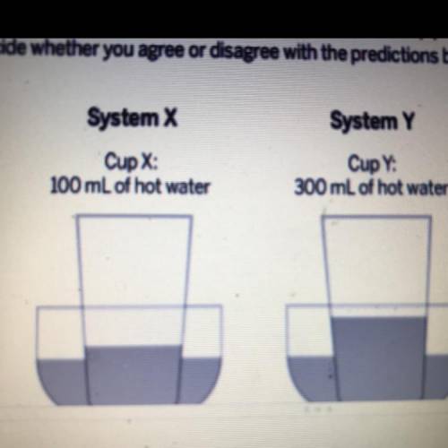 Write whether you agree or disagree with each statement below.

1. The water in Cup X will end up