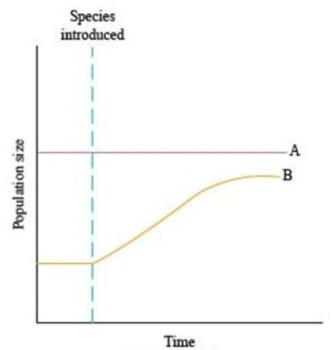 Which ecological relationship is best represented by this graph?

Mutualism
Commensalism
Parasitis