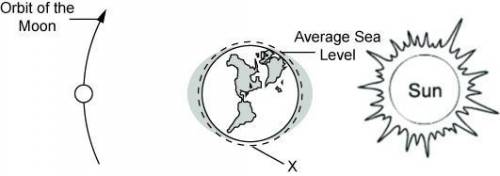 PLEASE HELP!

The diagram illustrates the effect of the Moon's and the Sun's gravity on Earth.
Wha