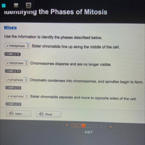 Sister chromatids line up along the middle of the cell

Here are all the answers and free points‍♀