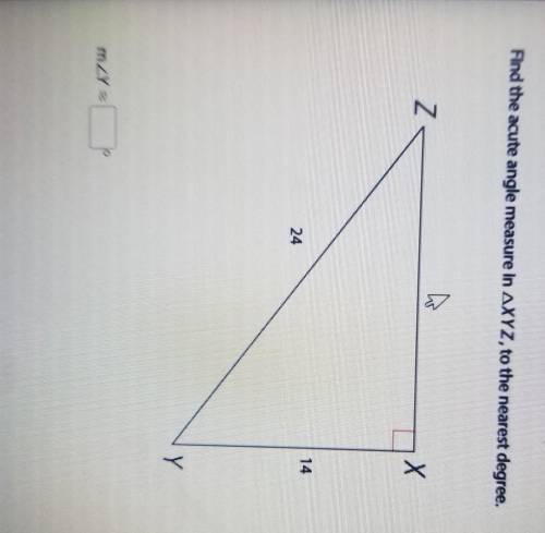 Question Find the acute angle measure in AXYZ, to the nearest degree. h Z X 24 Y THE MZY 3​