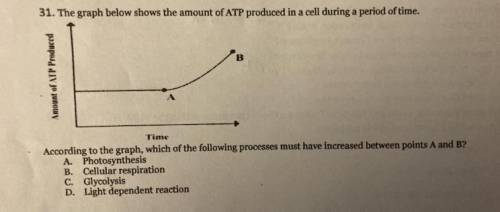 Which of the following processes must have increased between points A and B?

A) Photosynthesis
B)
