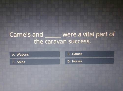 Camels and were a vital part of the caravan success.​
