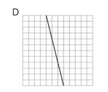 1. Calculate the slope of graph D. Explain or show your reasoning.