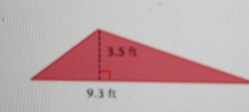 16. What is the area of the triangle? (1 point) A.32.55 ft? B. 24.81 ft? C. 16.275 f12 D. 11.0 ft2​