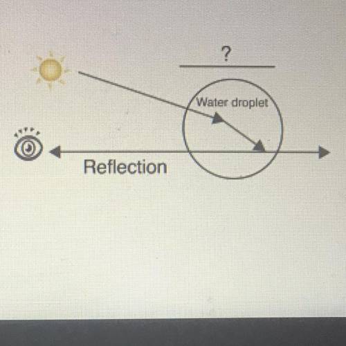 Which word should replace the question mark in the diagram

A Refraction
B reflection
C Light ener
