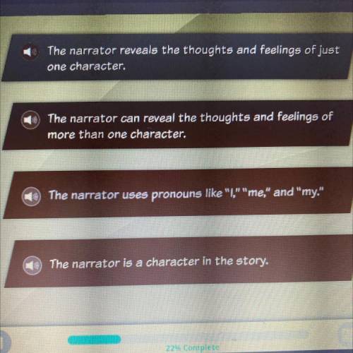 Which of these statements is true of a third person narrador?