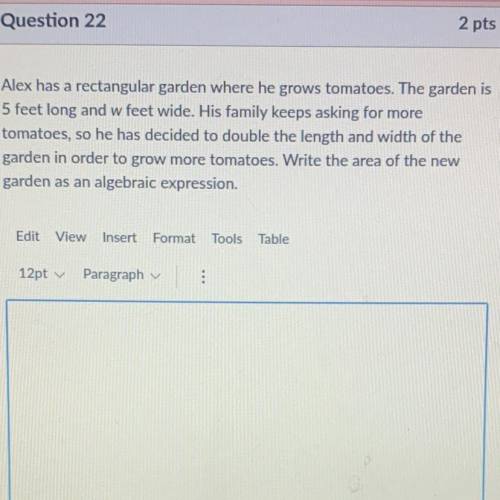 HELP ASAP I DO NOT UNDERSTAND THIS QUESTION AND WILL REALLY APPRECIATE AN ANSWER AND SMALL EXPLANAT