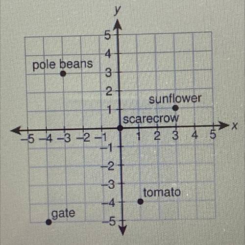 What is located at the point

(3, 1)?
A. Tomato
B. Gate 
C. Scarecrow 
D. Sunflower