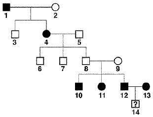 The pedigree shows the inheritance of attached earlobes. Provide the genotypes for the individuals