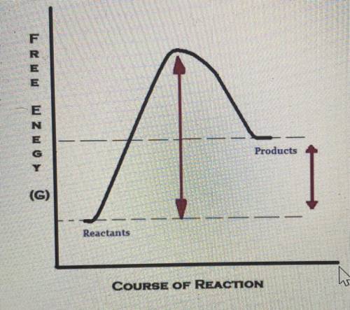 A. The line of the graph describes a 1. type of chemical reaction, where the products have ____2.__