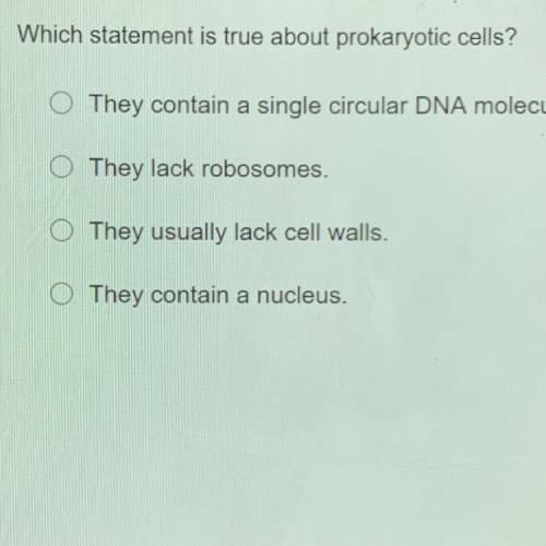 Which statement is true about prokaryotic cells?
I NEED HELP ASAP PLEASE