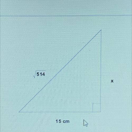 What is the value of x in the triangle?
A: 289
B: 17
C: 15
D: 14.2