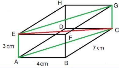 What is the length of red segment EC to the nearest tenth?