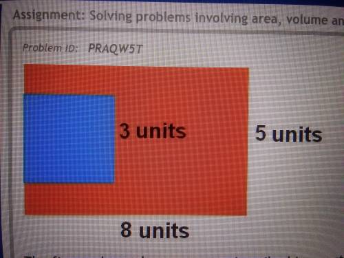 The figure above shows a square inscribed in a rectangle.

What is the area of the orange colored