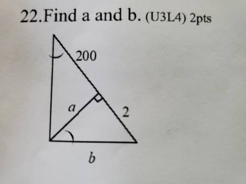 Please help me with this problem, I beg you