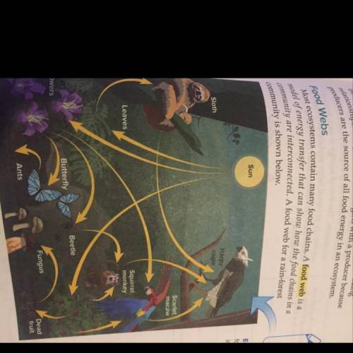 Observe the illustration of the food web , name 1 producer, 1 consumer , and 1 detrivore from the i