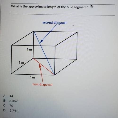 What is the approximate length of the blue segment?​