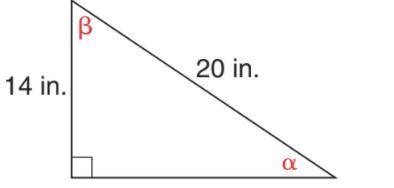 In the figure below, solve for α (alpha, bottom right angle). α = _____ degrees (round answer to th