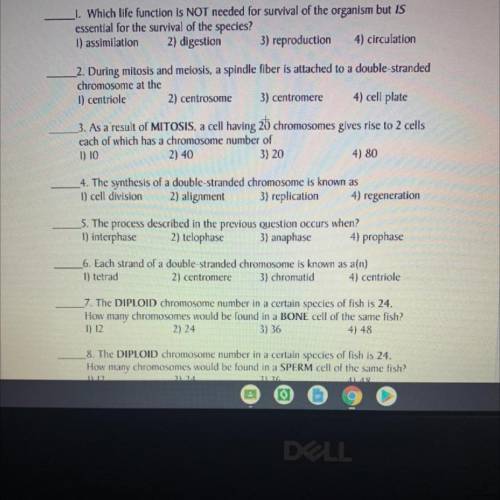 Does anyone know the answer to any of these, please feel free to answer more than 1 question please