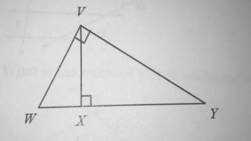 18. Write a similarity statement relating the three triangles in the diagram.