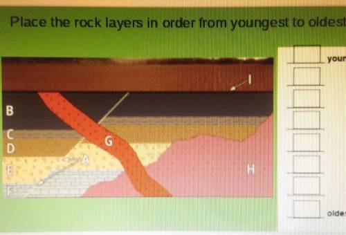 Place the rock layers in order from youngest to oldest​