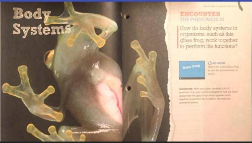 How do body systems in organisms, such as this glass frog (pg. 55), work together to perform life f