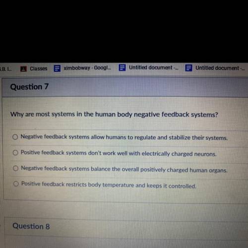 Why are most systems in the human body negative feedback systems?