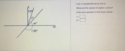What is the value of angles x and w ?