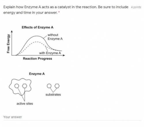 Explain how Enzyme A acts as a catalyst in the reaction. Be sure to include energy and time in your
