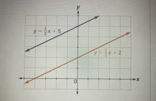 What type of lines are shown on the graph on the right? Explain your answer.