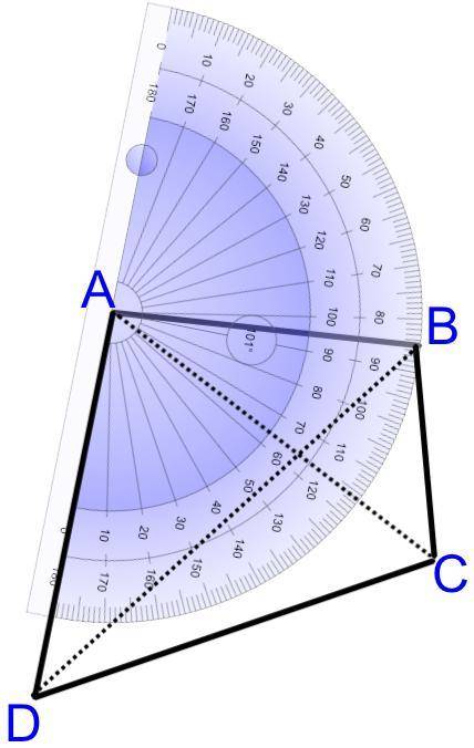 Use the protractor to measure
∠DAC