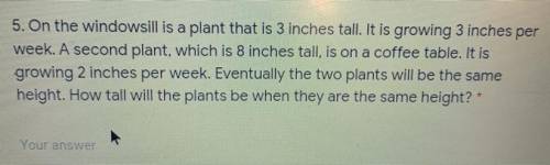 How tall will the plant be when they are the same height?