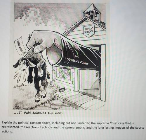 Explain the political cartoon above, including but not limited to the Supreme Court case that is re